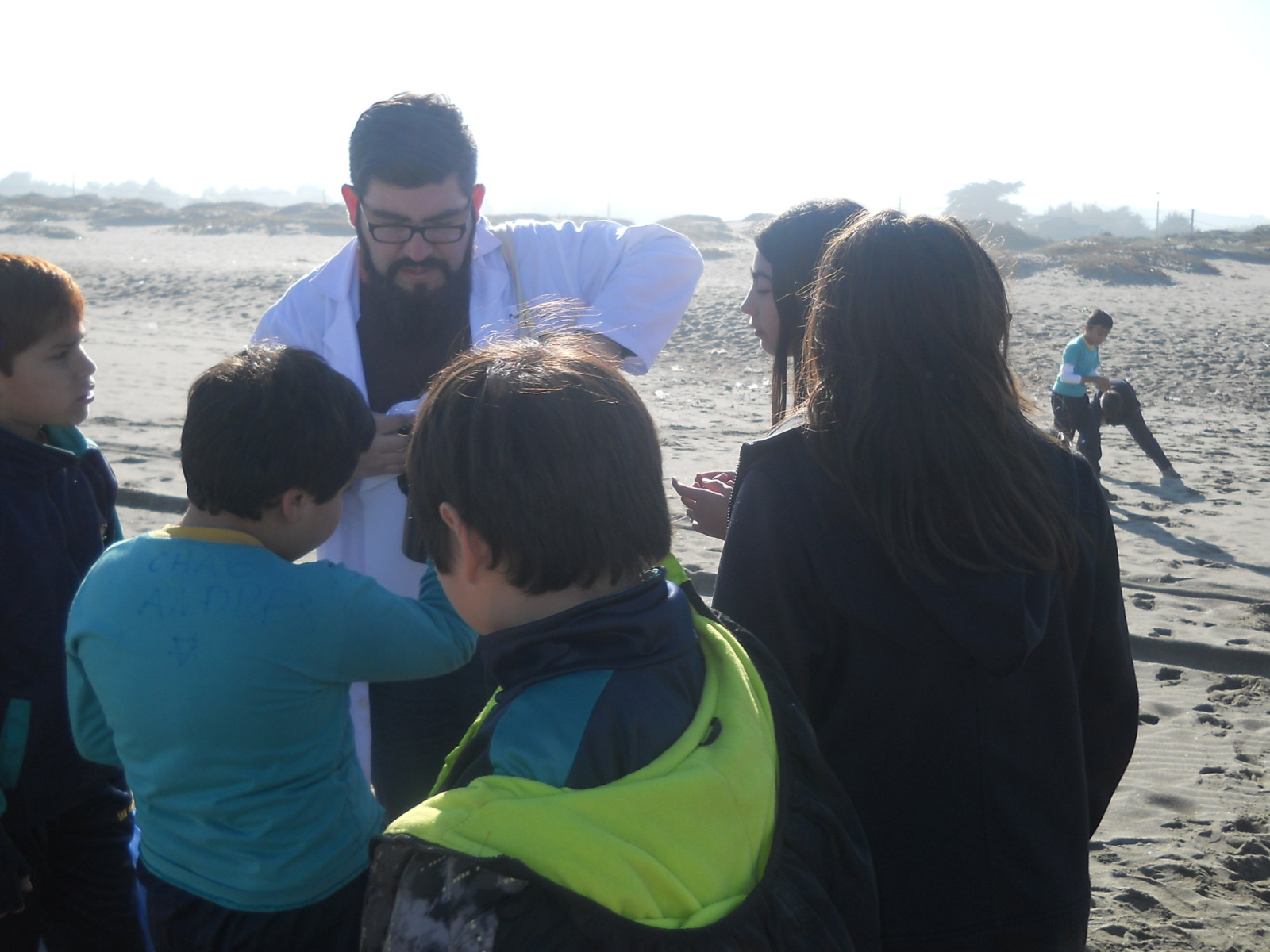 Sampling in the beach 1