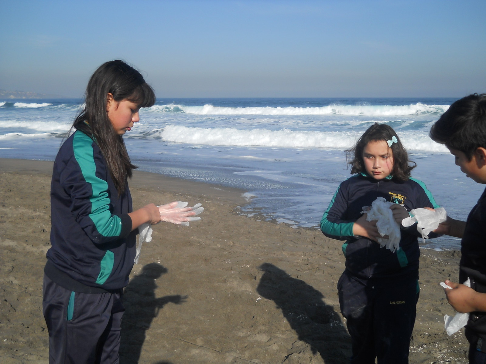 Sampling in the beach 3